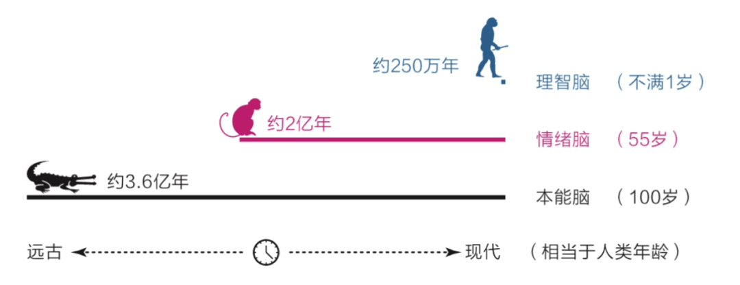 如何缓解疫情焦虑 ?:原文配图 1